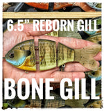 6.5” Gill Reborn Slow Sink