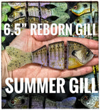 6.5” Gill Reborn Slow Sink
