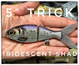 5" Trick Shad