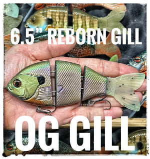 6.5” Gill Reborn MOD/FAST
