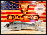 6 inch trick shad