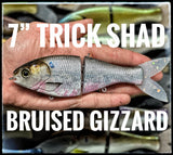 7 Inch Trick Shad
