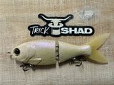 5" Trick Shad