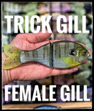Trick Gill