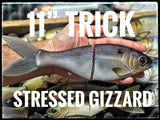 11" Trick