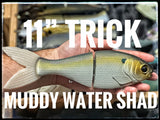 11" Trick