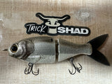 5" Trick Shad