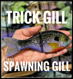 Trick Gill