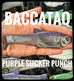Baccataq