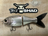 5" Trick Shad