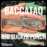 Baccataq