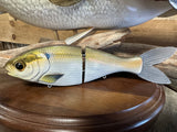 11" Trick