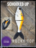 7 Inch Trick Shad