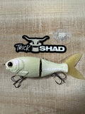 5" Trick Shad