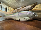 7 Inch Trick Shad