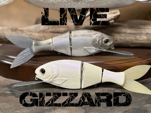 Live Gizzard