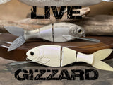 Live Gizzard